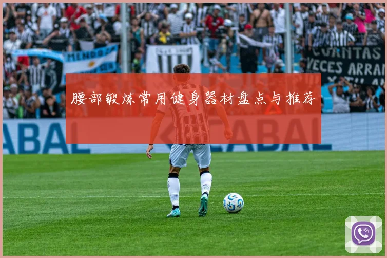 腰部锻炼常用健身器材盘点与推荐