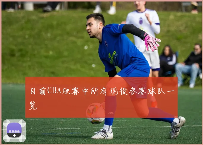 目前CBA联赛中所有现役参赛球队一览