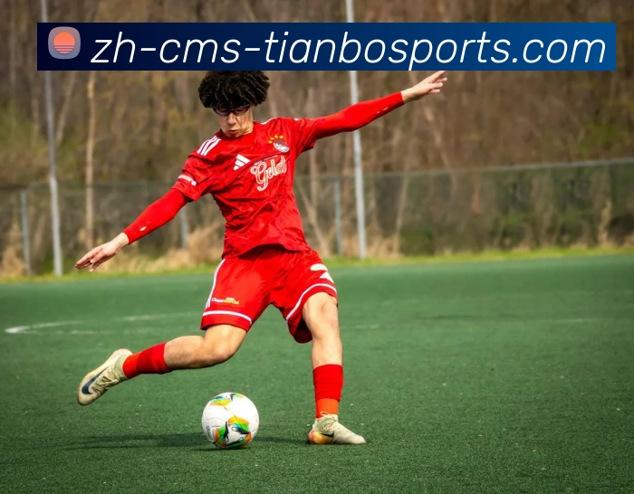 天博综合体育APP 封面图